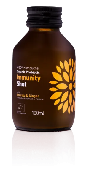 VIGO Kombucha Imunita 100ml