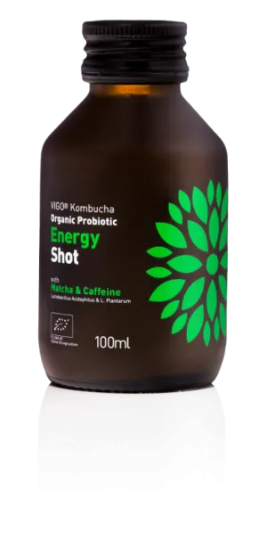 VIGO Kombucha Energia 100ml - 12ks