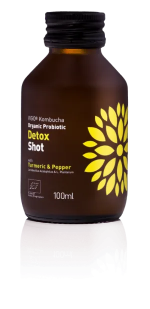 VIGO Kombucha Detox 100ml - 12ks